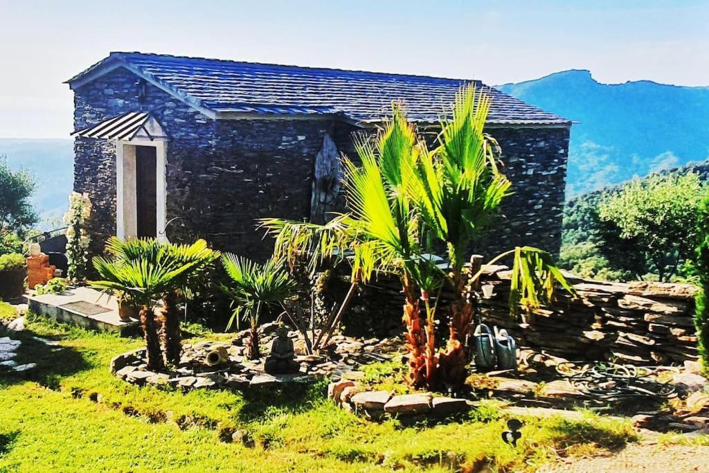 Domaine Colonna-Santini, Gite Piscine, Sauna, Spa Porri Εξωτερικό φωτογραφία