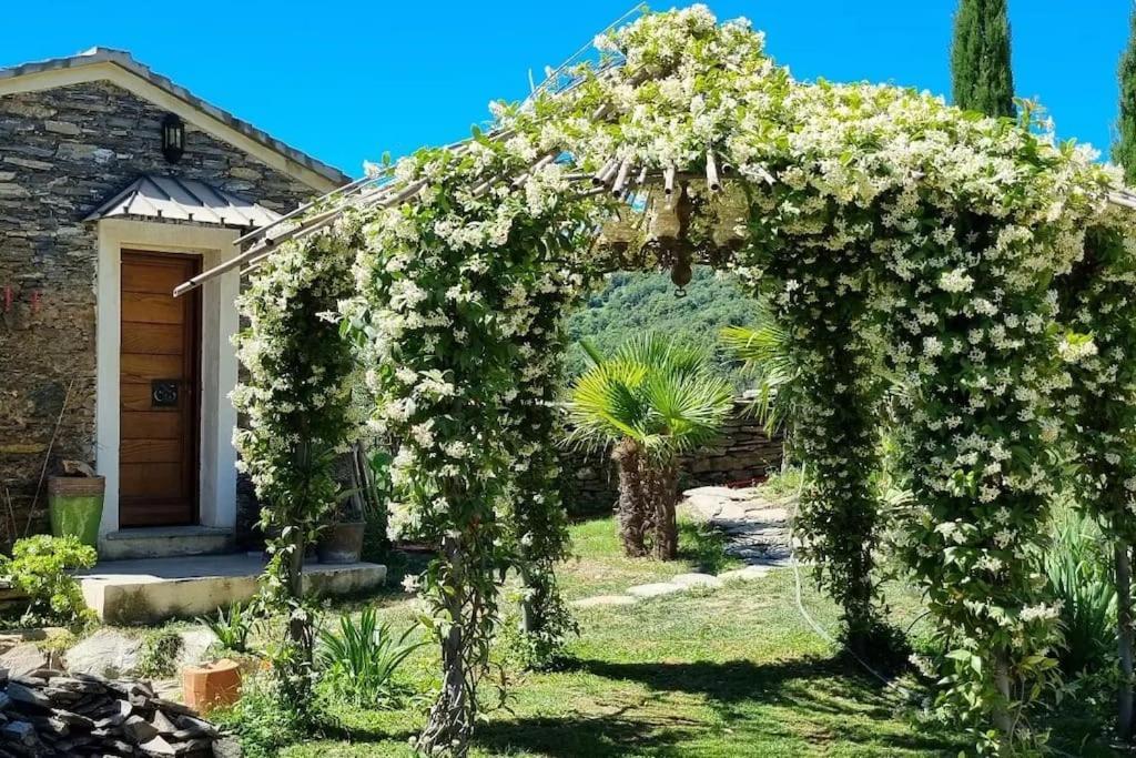 Domaine Colonna-Santini, Gite Piscine, Sauna, Spa Porri Εξωτερικό φωτογραφία